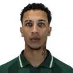 Gustavo Talles