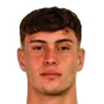 Gabriel Menegon